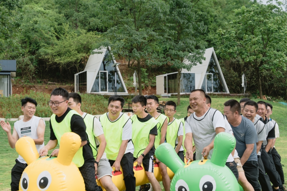 ��ͬ��ͬ�� �� ��Ӯδ������������k8����Ӯ��һ���������Ժ�в�ҵ������չ2023���Ž��